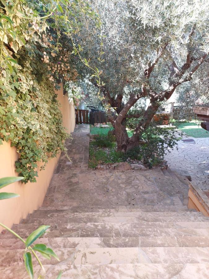 L'Orchidea Villa Capitana Exterior photo